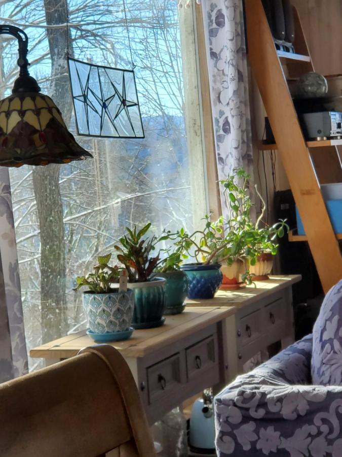 Treehouse Cathedral In Blue Ridge Mountains, Nc Villa Burnsville Екстериор снимка