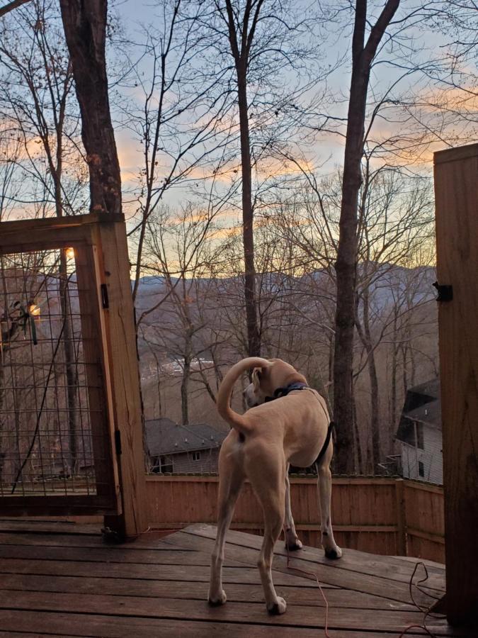 Treehouse Cathedral In Blue Ridge Mountains, Nc Villa Burnsville Екстериор снимка