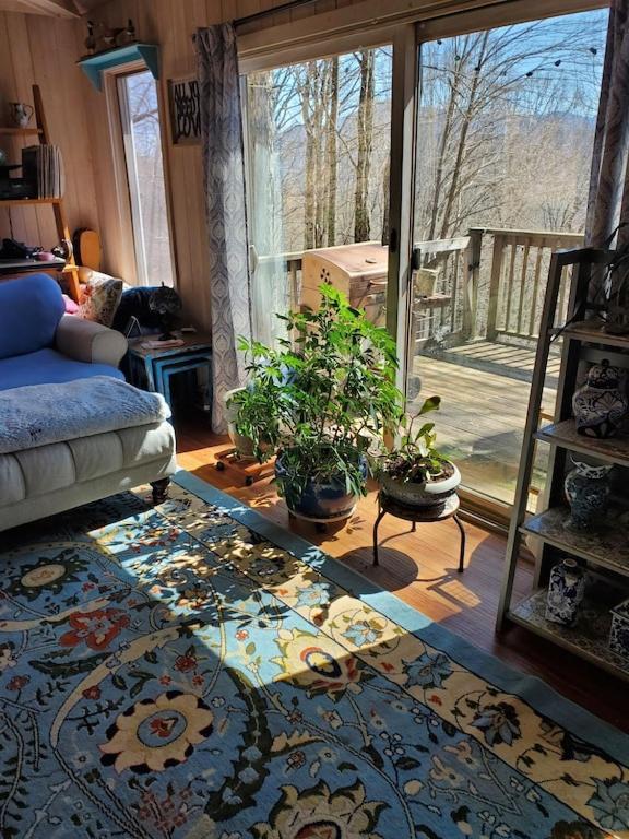 Treehouse Cathedral In Blue Ridge Mountains, Nc Villa Burnsville Екстериор снимка